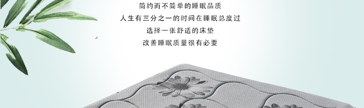 ZS-B002#_r3_c1.jpg