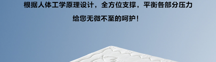 ZS-B003#_r3_c1.jpg