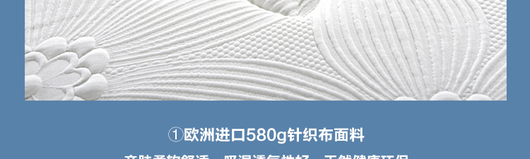 ZS-B003#_r25_c1.jpg