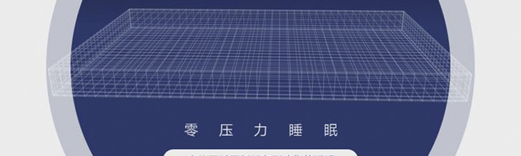 ZS-D003_r10_c1.jpg
