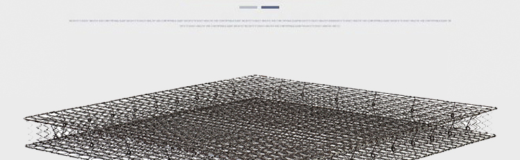 ZS-D003_r45_c1.jpg