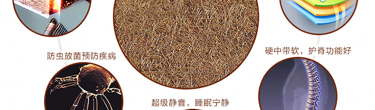 ZS-F001#_r43_c1.jpg